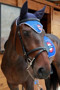 Photo d'un bonnet anti-mouche pour cheveaux de NewRiding