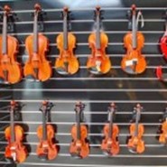 Photo d'un rayon de violons de Tasset